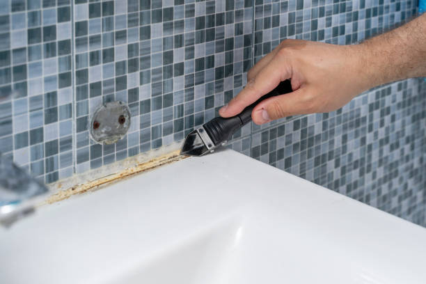Best Mold Removal Near Me  in East Rochester, NY